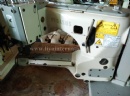 old PEGASUS FW603FB coverstitch machine